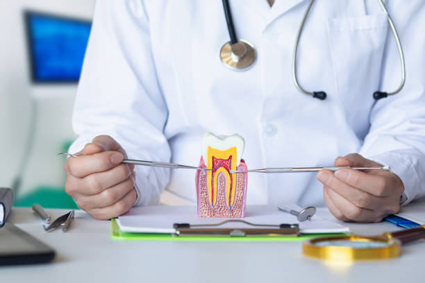 Best Urgent Dental Care for Toothache in Meadows Place, TX
